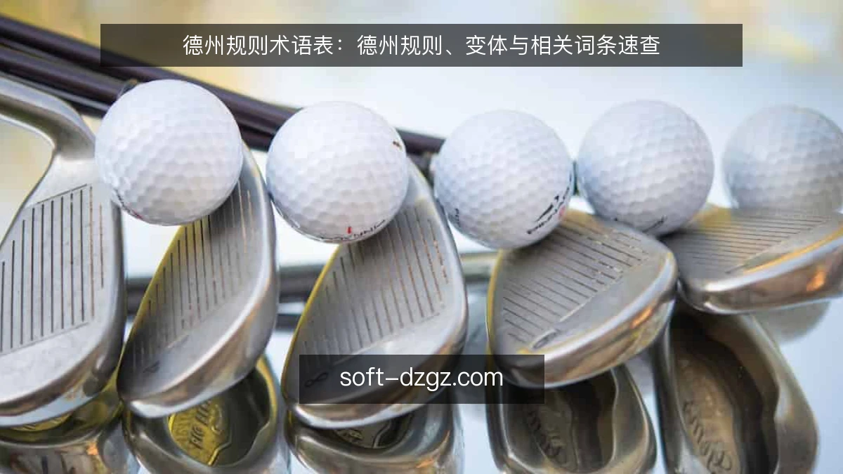 德州规则术语表：德州规则、变体与相关词条速查